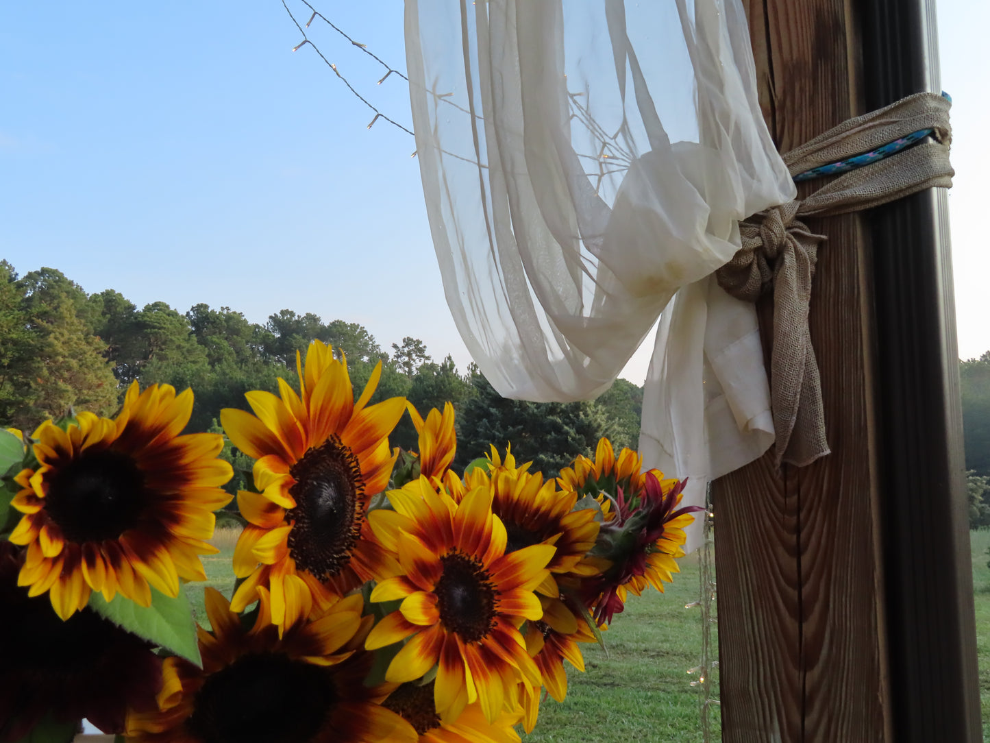 Bundle of Sunflowers Farm Pickup