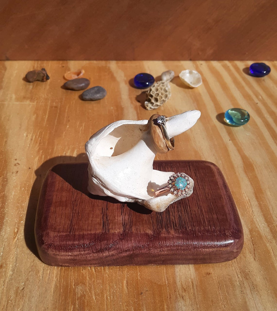 Sea Shell Ring Dishes
