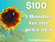 Sunflower Pre-Order 5 Bundles For the Price of 4